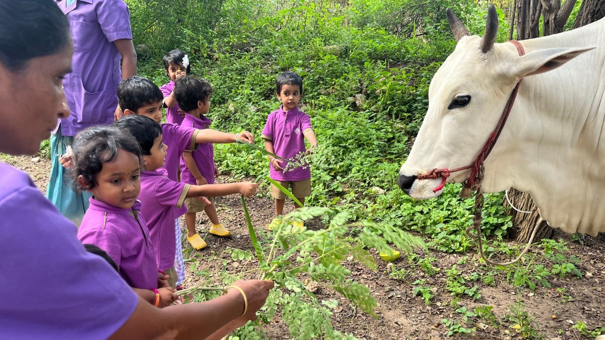 how summer camp helps kids develop leadership skills